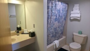 Deluxe King Room Bathroom in The Northeastland Hotel